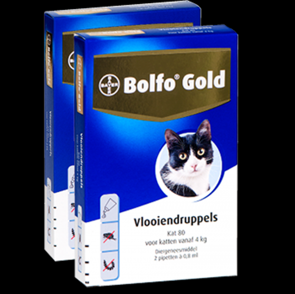 Bolfo Gold 80 kat 4 kilo 2 pip
