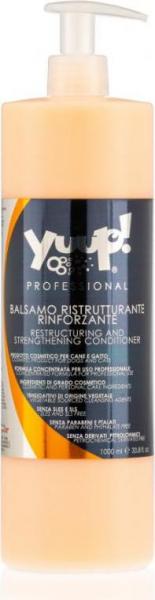 Restructering & Strengthening conditioner 1L
