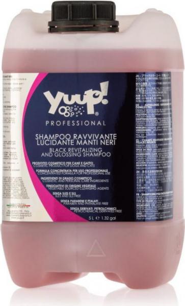 Black Revitalizing and Glossing shampoo 5 ltr afbeelding