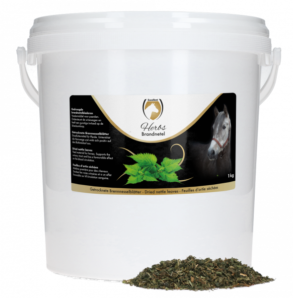 Excellent Herbs Brandnetel