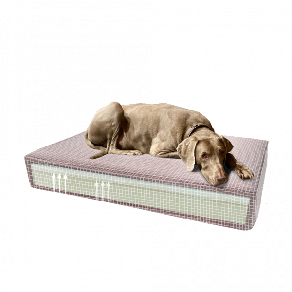 Madison Orthopedisch kussen Velvet roze S