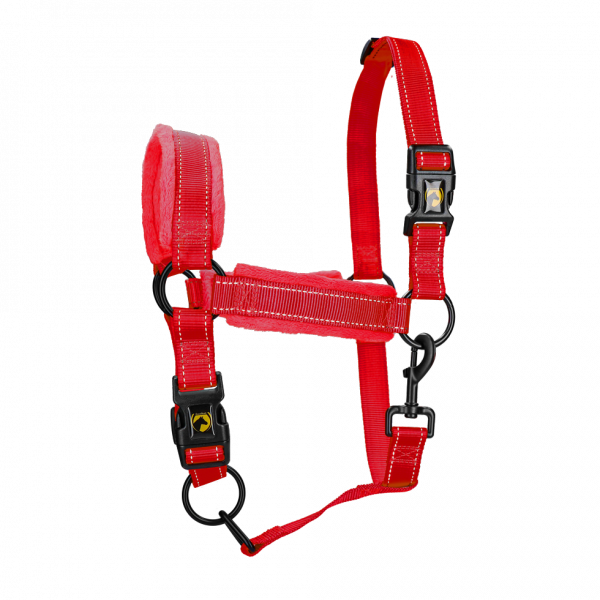 Excellent Horse Superior Halster M Pony Rood