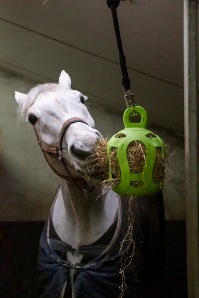 Jolly Pets Jolly Hay Ball groen 20 cm