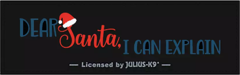LIMITED EDITION - DEAR SANTA, I CAN EXPLAIN