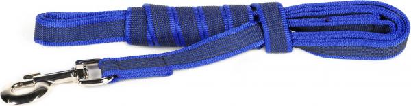 Lange lijn hond - Antislip - 20mm x 3m - Met handvat - Blauw afbeelding