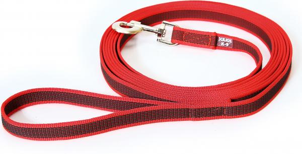 Lange lijn hond - Antislip - 20mm x 3m - Met handvat - Rood afbeelding