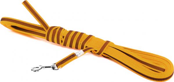 Lange lijn hond - Antislip - 14mm x 10m - Oranje afbeelding