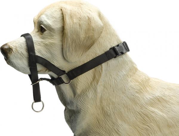Beeztees Dog Control - Halsband Hond - Zwart - M-Speciaal