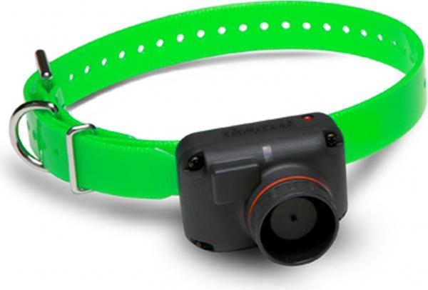 Dogtra halsband RB 1000 " 1002