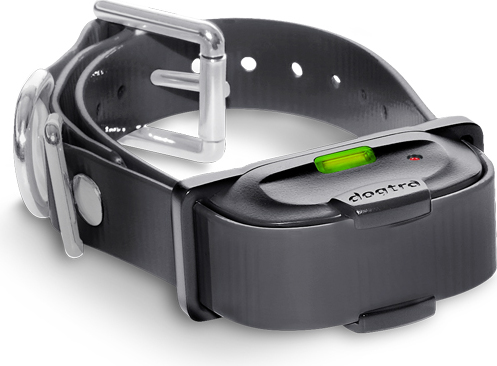 Dogtra halsband IQ Mini afbeelding