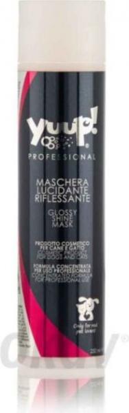 Glossy shine mask - 250 ml