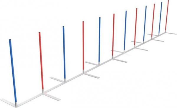 Agility Slalom