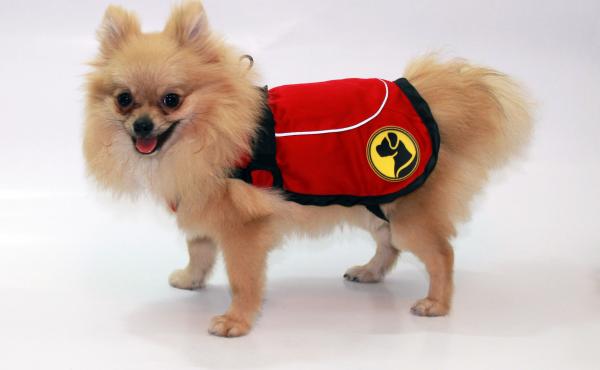 Dog Armor Knockdown Coat S 40Cm Ruglengte (Insect Shield)