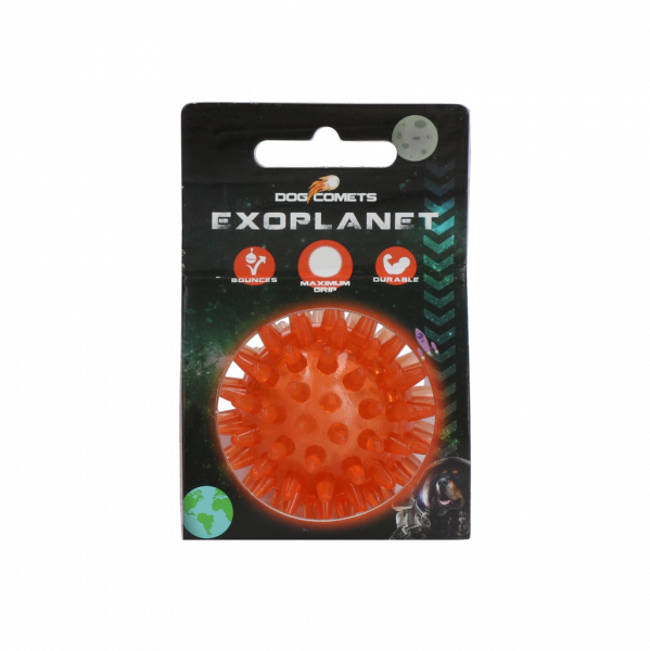 Dog Comets Exoplanet Orange S