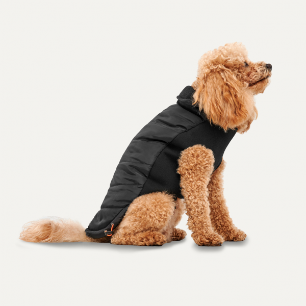 Gooeez Mock Neck Signature Jacket 2XL Black"Black