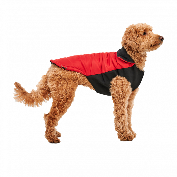 Gooeez Mock Neck Signature Jacket M Red"Black