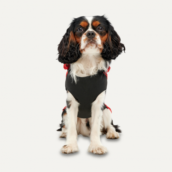 Gooeez Kangaroo Fleece Hoodie 2XS Red"Black