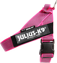 IDC Riemtuig Roze - Maat 3 afbeelding