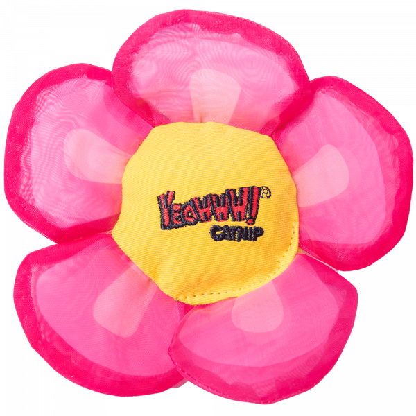 Yeowww Daisey's Flower Top Pink