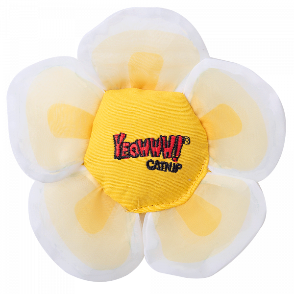 Yeowww Daisey's Flower Top White