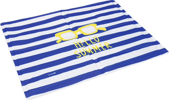 BZ KOELM HELLO SUMMER BLW"WIT 65X50 afbeelding