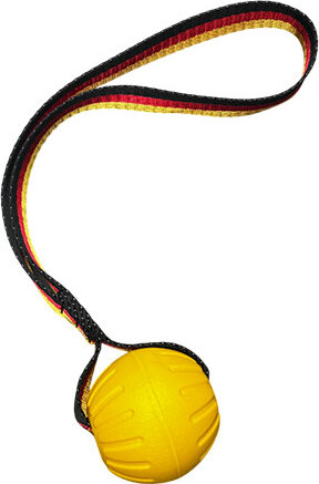 Bonezz drijvende foam bal met koord - 9cm afbeelding