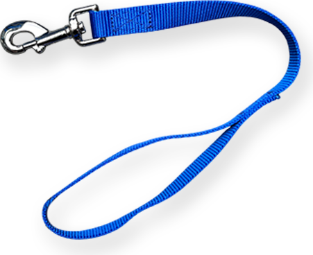 Bonezz korthouder - Nylon - Blauw - 20mm x 50cm afbeelding