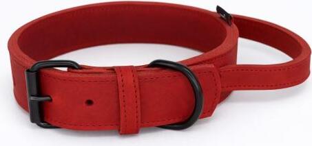 Bonezz halsband vetleer - met handgreep, rood, diverse afmetingen