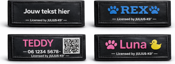 Eigen naam label - groot 160 x 50 mm - Per Set