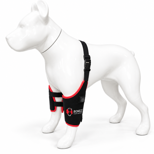 Canine Recovery Infrarood Beenwrap Set