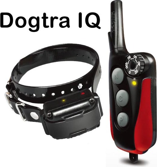 Dogtra Iq Plus Trainings Band C.E. Goedgekeurd afbeelding