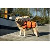 Beeztees Veiligheidsvest/Zwemvest - Hond - XL - 41+Kg | Overige tuigen