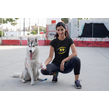 T-shirt Dames - K9 Sportswear | Shirts