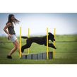 Agility Lange sprong | Veldmateriaal