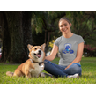 T-shirt Dames Grijs - K9 Securitydogs | Shirts