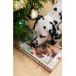 Honden kerst adventkalender Woef