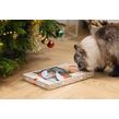 Katten kerst adventkalender Miauw