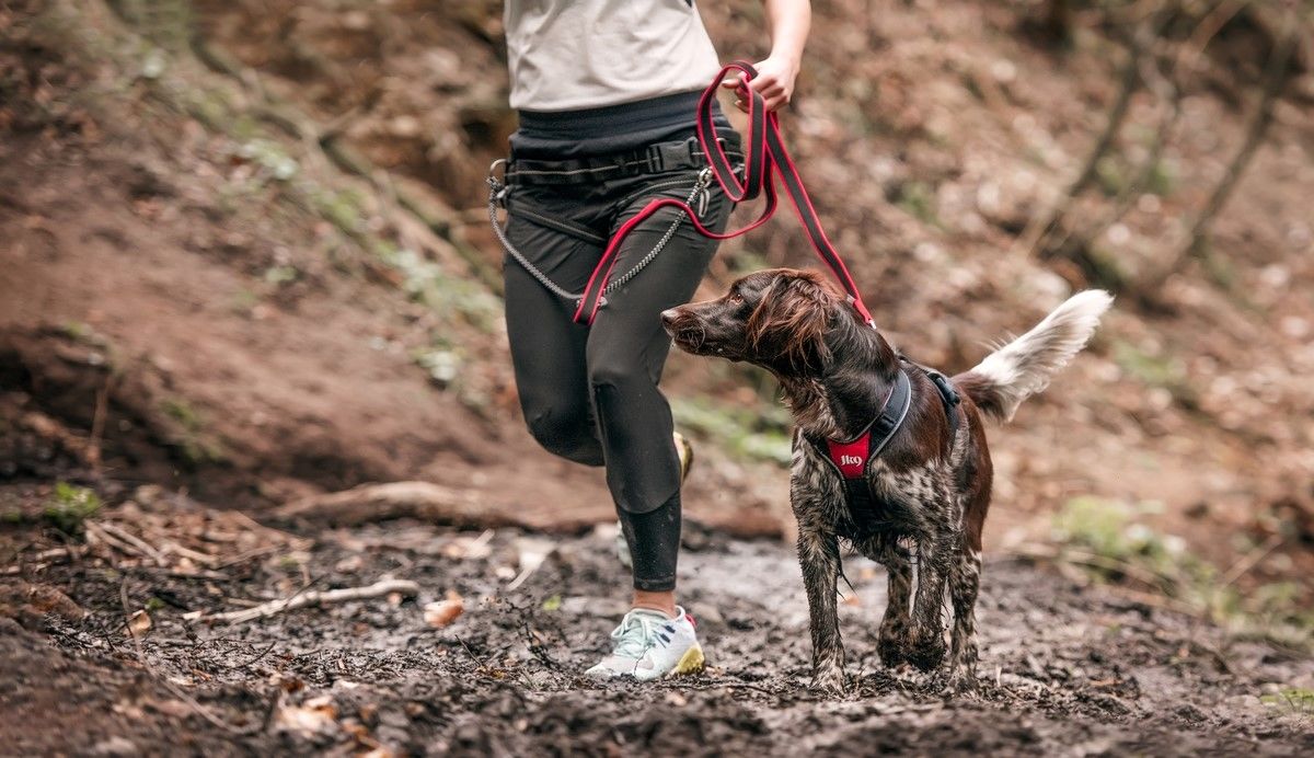 Julius-K9 anti sliplijn