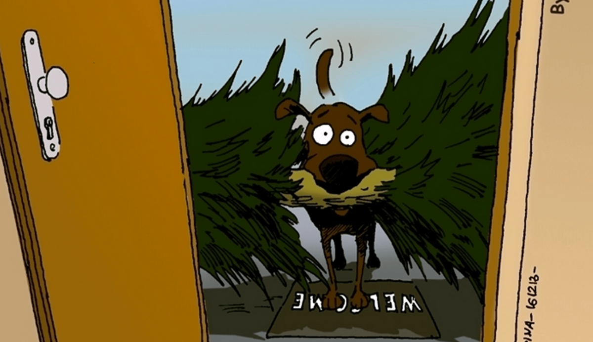 Kerstmis met de hond