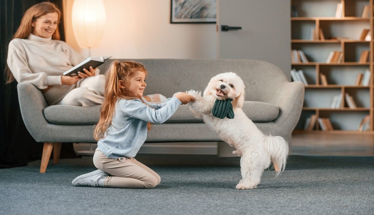 Hond geeft poot aan klein meisje
