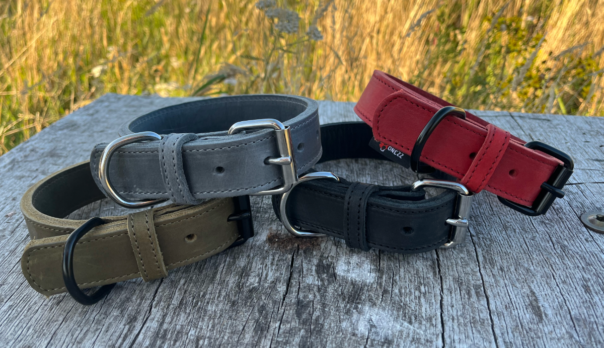 leren lijnen en halsband