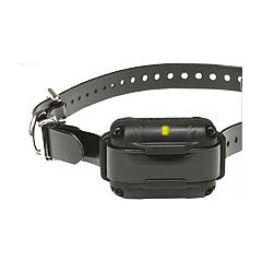 Dogtra Losse Trainings Halsband IQ Plus Zwart | Onderdelen