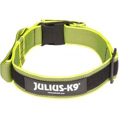 Halsband Met Beveiligingssluiting 50Mm Neon grijs | Halsbanden