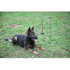 Vooruithouder bal 1,2 m | Veldmateriaal