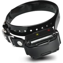 Dogtra halsband IQ Plus | Onderdelen