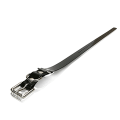 Dogtra Halsband 2.5 cm x 75 cm | Onderdelen