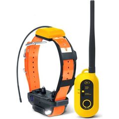 Dogtra Pathfinder 2 GPS mini