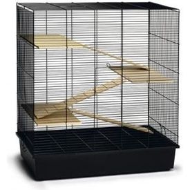 Beeztees Scooby - Knaagdierkooi - Zwart - 70x40x78 cm | Kooien
