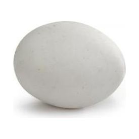 Broedei Duif - Vogel - Steen - Diam. 4 cm | Benodigheden voor broeden