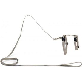 Beeztees Uni - Kattentuig - Nylon - Lichtgrijs - 27-45 cm | Kattentuigjes